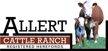 Allert Cattle Ranch