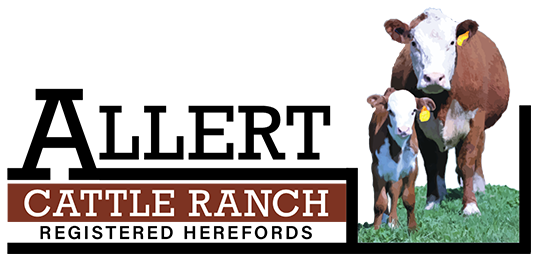 Allert Cattle Ranch